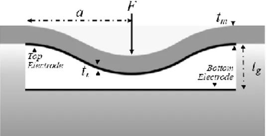 Fig. 1.  Cross  section  of  a  single  CMUT  element.  The  flexed  membrane  is  made of 40µm Si, and 100nm of Al 2 O 3