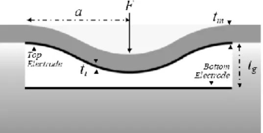 Fig. 1.  Cross  section  of  a  single  CMUT  element.  The  flexed  membrane  is  made of 40µm Si, and 100nm of Al 2 O 3