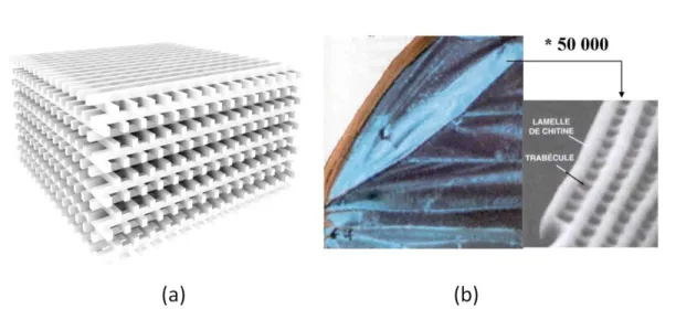 Figure  3.1:  (a)  A  3  dimensional  PC  made  from  alumina  rods.  Alumina  rods  are  arranged  in  a  face  cubic  centered  arrangement