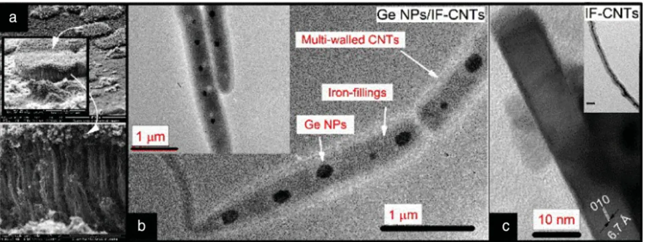 Figure 2. a) SEM and b) TEM images of the CNTs. The SEM images in (a) and the insets show carpet-like patterns radially grown in 2D with a diameter and height of the order of 200 and 40 µm, respectively