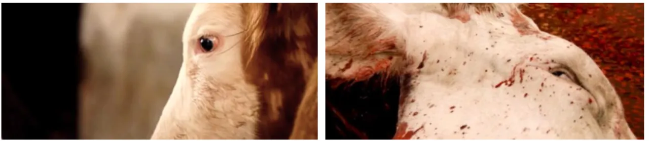 Figure 1. Film Stills from Kosmos (2009) 