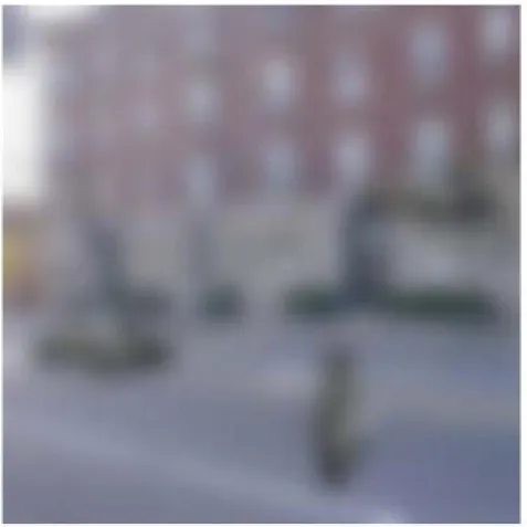 Figure 1.3: The effect of context in visual perception. Reprinted, with permission, from ref
