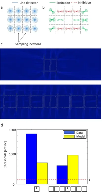 Fig 9. V1 Segmentation model. a. The input is sampled at each grid position by neurons tuned to 12 orientations, mimicking V1 simple cells