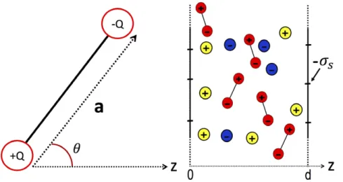 Figure 9.   Left: charge geometry of solvent molecules of size a  =  1  Å; the charges of valency Q  =  1 are placed at the ends