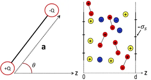 Figure 9.   Left: charge geometry of solvent molecules of size a  =  1  Å; the charges of valency Q  =  1 are placed at the ends