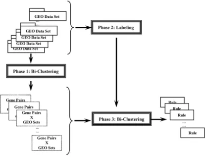 Figure 2 Workﬂow of the bi-k-bi clustering algorithm