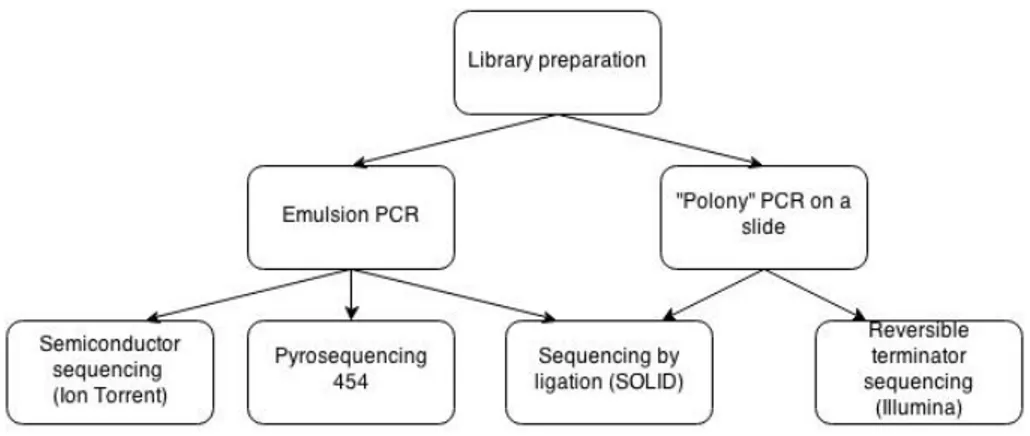 Figure 2.4: Workflow of the next-generation sequencing. This figure is adapted from [8].