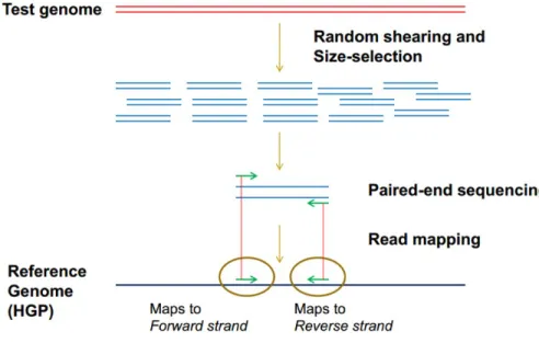 Figure 2.12: Sequencing