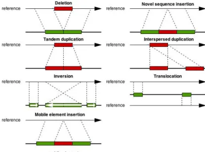 Figure 2.14: Classes of structural variation. This figure is adapted from [8].