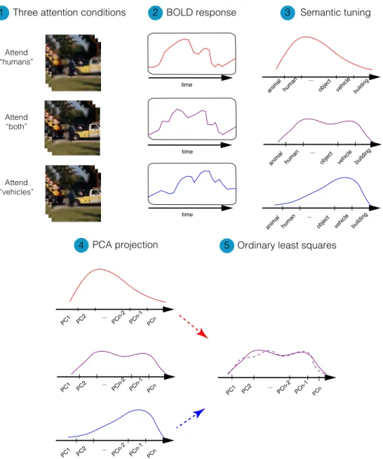 Figure 2.7: Linearity index calculation procedure. Voxel-wise linearity in- in-dex was measured based on the correlation of the predicted and actual semantic tuning profile in divided attention condition (B condition)