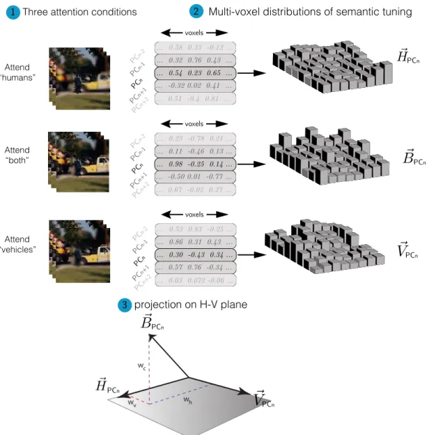 Figure 2.8: Shift index calculation procedure. Semantic tuning profile dis- dis-tribution during divided attention was regressed onto the tuning disdis-tributions during the two single-target tasks