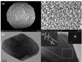 Fig. 2 (a,b) Low and high magnification FESEM images of a single hollow microsphere. (c) TEM image of a BaMoO 4 : Pr 3+ nanocrystal