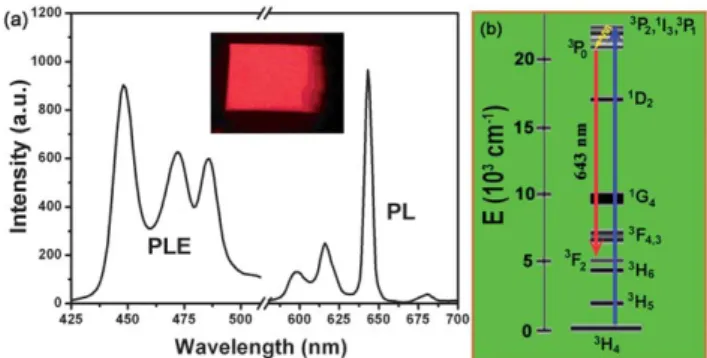 Fig. 5 (a) Luminescence spectra of BaMoO 4 : Pr 3+ microspheres, PLE (left) and PL (right)