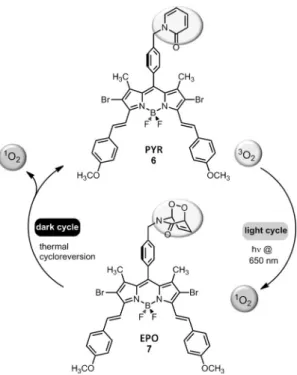 Figure 1. Singlet oxygen generation achieved first by irradiation of bifunctional compound 6 at l = 650 nm, and subsequently by thermal cycloreversion in the dark
