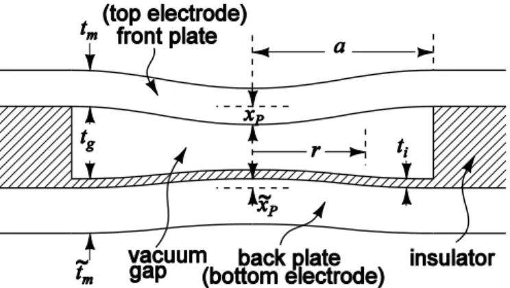 Fig. 1. Cross-sectional view of a bilateral circular CMUT cell. The radiation plates are used as the electrodes as shown, assuming conducting plate material like doped silicon.