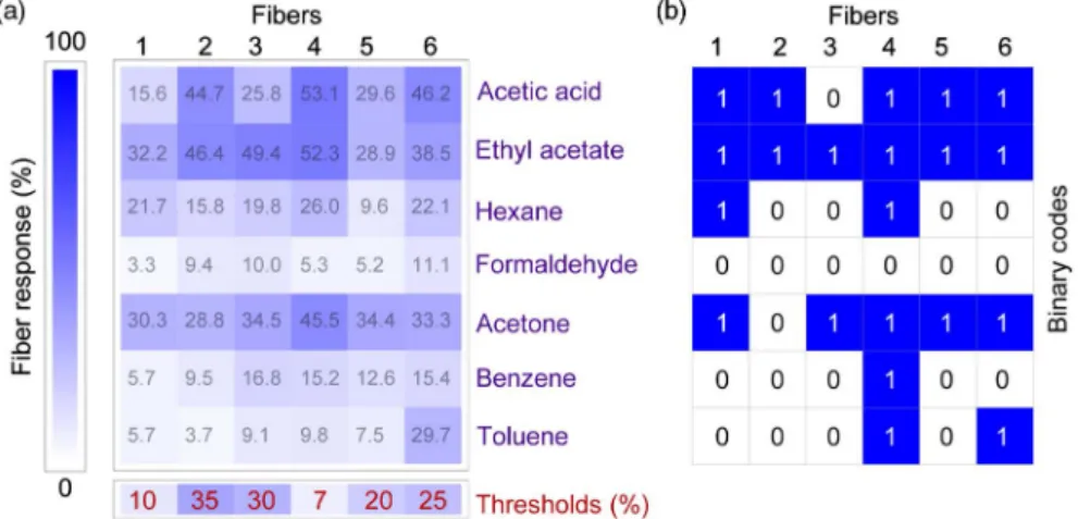 Fig. 4. Binary coded identification of the industrial chemical vapors with the fiber array