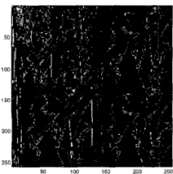 Figure  6:  Bin,sry  Subband  Decomposition  o f  the  most  significant  bit-plane  of  the  Lena(256x256)  image obtained  by the Binary  Wavelet  Transform 