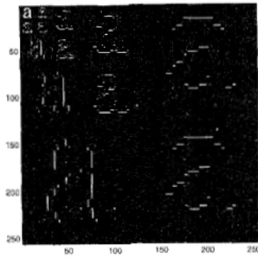 Figure  9:  Binary  Subband  Decomposition  of  the  letter  ’a’ obtained  by  The  Binary  Wavelet  Trans-  form 