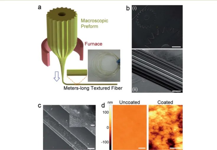 Fig. 2 Fabrication scheme of grooved micro ﬁbers and surface modiﬁcation with nanoparticle coating