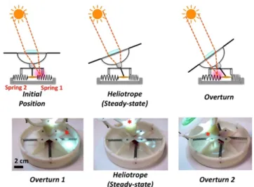 Figure  4.4  The  optomechanical  feedback  stabilizing  the  plant  in  the  position  of  maximizing solar flux