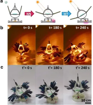 Figure  4.5  Device  capable  of  both  nyctinasty  and  heliotropism.  (a)  Scheme  of  the 