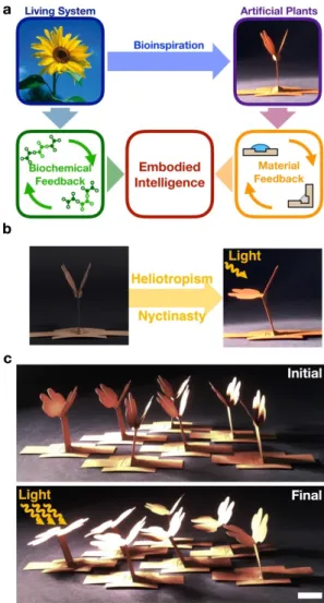 Figure 4.7 Bio-inspiration and incorporation of embodied intelligence in paper plant  robots  (PPR)