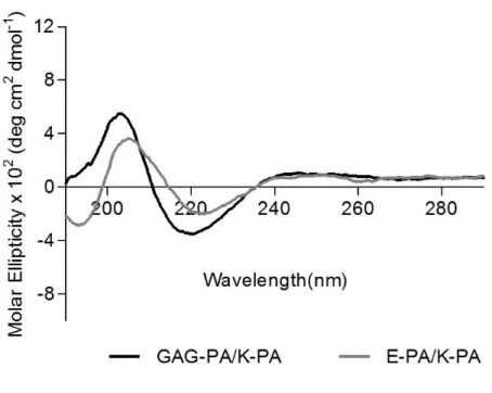 Figure  2.7  Circular  dichroism  spectra  of  the  PA  samples,  demonstrating  a  predominance of β-sheet in the PA nanofibers