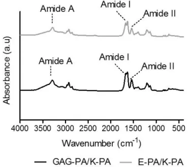 Figure  2.8  FTIR  spectra  of  PA  nanofibers.  Both  peptides  displayed  amide  I  peaks  located in 1630–1640 cm − 1  region, suggesting β-sheet formation