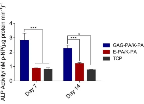 Figure  2.14  Impact  of  GAG  mimetic  peptide  nanofibers  on  alkaline  phosphatase  activity on days 7 and 14, *p &lt; 0.05, ***p &lt; 0.001