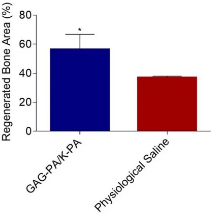 Figure  2.21  Regenerated  bone  areas  were  quantified  through  the  histological  evaluation of H&amp;E results (G), *p &lt; 0.05