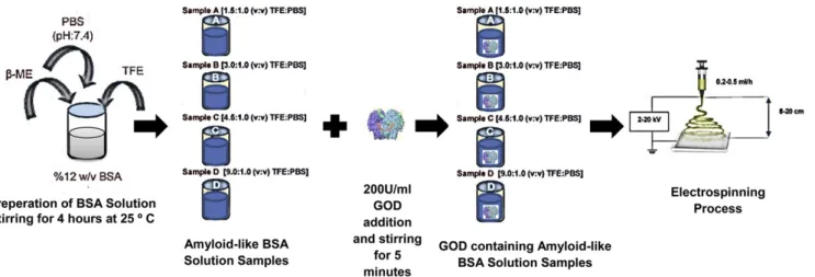 Fig. 1. Schematic representation of solution preparation and electrospinning setup.