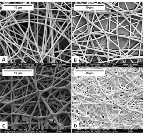 Fig. 4. Optical images of electrospun nanoﬁbres after being stained with an amyloid speciﬁc dye