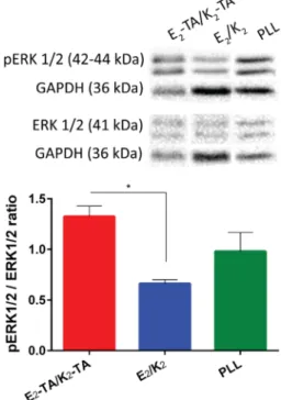 Figure 6. Protein expression levels of ERK1/2 phosphorylation of PC- PC-12 cells cultured on E 2 -TA/K 2 -TA and E 2 /K 2 gels and PLL-coated surfaces