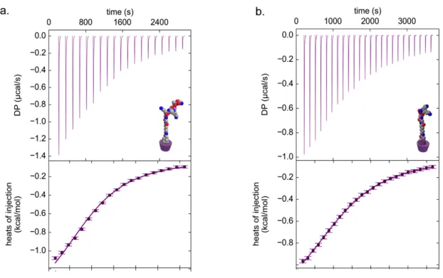 Figure 2.4 Isothermal Titration Calorimetry (ITC) traces of CD titrated into solutions of a)  Ada-IKVAV, b) Ada-KK