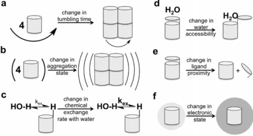 Figure  1.2  Schematic  illustration  of  physicochemical  mechanisms  to  alter  MRI  contrast