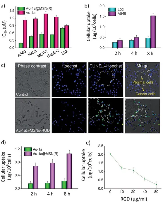 Figure 1.6 Cellular uptake and specificity of Au-1a@MSN(R). a) Cytotoxicity of gold  nanoparticles  on  different  cell  lines