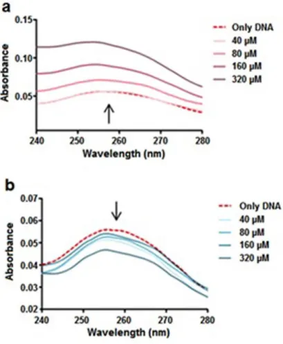 Figure 3.1 UV-Vis absorbance spectra of CT DNA-metal system within 240–280 nm. 