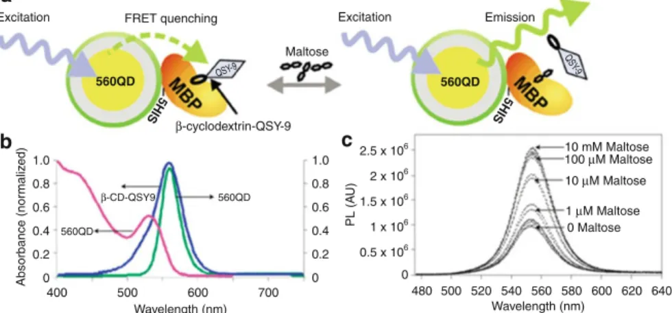 Fig. 14.5 The schematic of FRET facilitating lipid-coated quantum dots: (a) HDL-coated QD and QD micelle with Cy5.5-HDL and Cy5.5-micelle without FRET, (b) Cy5.5 dye exchange between the HDL-QD and HDL-micelle, and (c) FRET between the Cy5.5 and QD in both