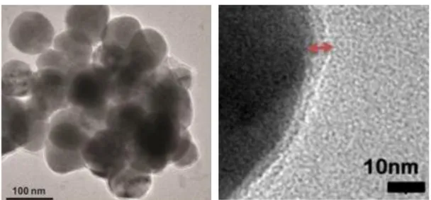 Figure  2.4  Transmission  electron  microscope  images  of  liposomes  composed  of  7:8:1  molar  ratio  of  DOPG:Chol:PA  (scale  bars=  100  nm  and  10  nm,  respectively)