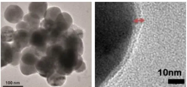 Figure  2.4  Transmission  electron  microscope  images  of  liposomes  composed  of  7:8:1  molar  ratio  of  DOPG:Chol:PA  (scale  bars=  100  nm  and  10  nm,  respectively)