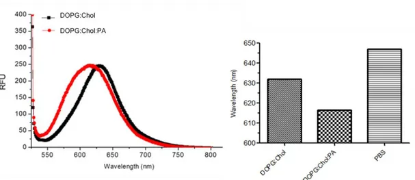 Figure  2.5  Fluorescence  measurements  performed  with  Nile  Red  for  the  investigation of PA integration into the liposomal membrane
