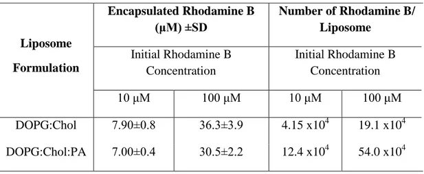 Table 2.3 Encapsulation of Rhodamine B by PA free and PA integrated liposomes 