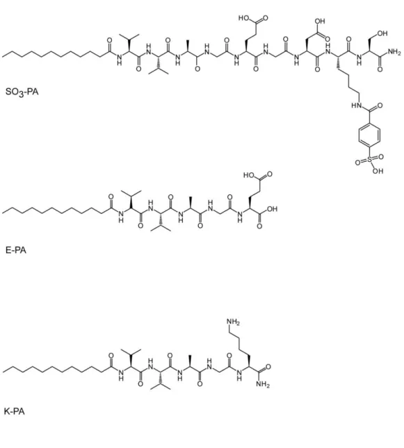 Figure 2.1 Chemical structures of synthesized peptide amphiphiles.  