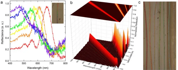 Figure 4 | Band-gap tunable all-polymer colorful photonic crystal structures. (a), A tapered photonic crystal structure exhibits lattice constant- constant-dependent changes in color along 200 mm of its length