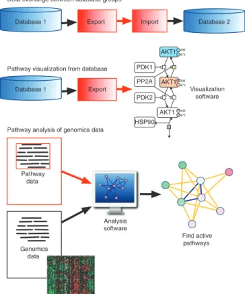 Figure 5  Example uses of pathway information in BioPAX format. Red- Red-colored boxes or lines indicate the use of BioPAX.