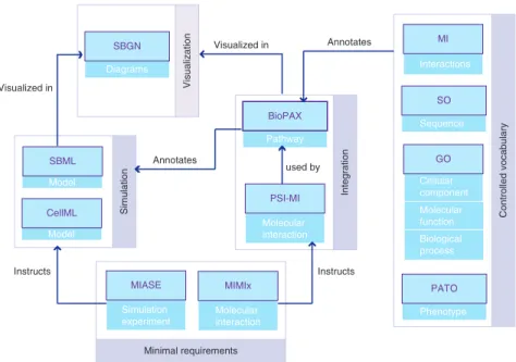 Figure 6  The relationship among popular standard formats for pathway information. BioPAX and  PSI-MI are designed for data exchange to and from databases and pathway and network data  integration