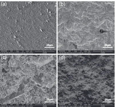 Figure 2.3: Examples of commercially-modified metal implant surfaces. (a) Acid etched, (b) SLA, (c) Sand-blasted (d) Hydroxy-apatite-coated (M.E