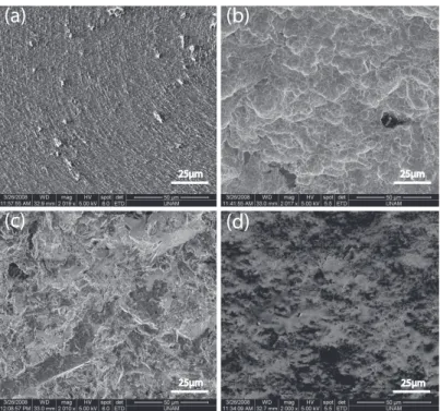Figure 2.3: Examples of commercially-modified metal implant surfaces. (a) Acid etched, (b) SLA, (c) Sand-blasted (d) Hydroxy-apatite-coated (M.E