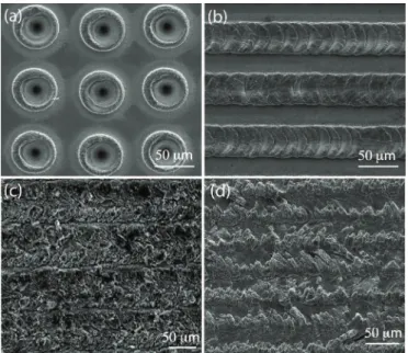 Figure 2.8: SEM images of microscale surface topographies generated with pi- pi-cosecond pulses