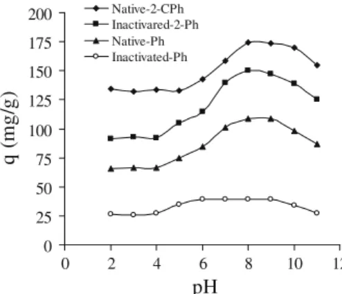 Fig. 1. Effect of pH on the biosorption capacities of the native and heat inactivated biomass of Funalia trogii